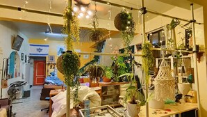 A room with a bed, a desk, and various potted plants. - Nasun bed and breakfast (Jianshi)