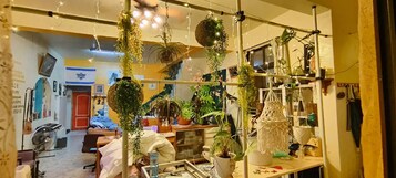 Una habitación con una cama, un escritorio y varias plantas en macetas.