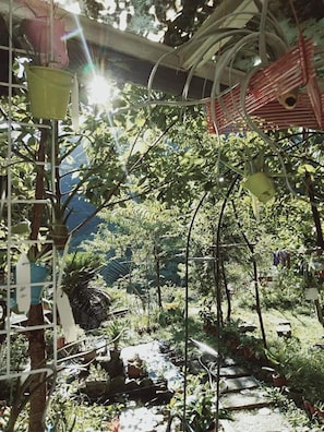 Garden view - Nasun bed and breakfast (Jianshi)