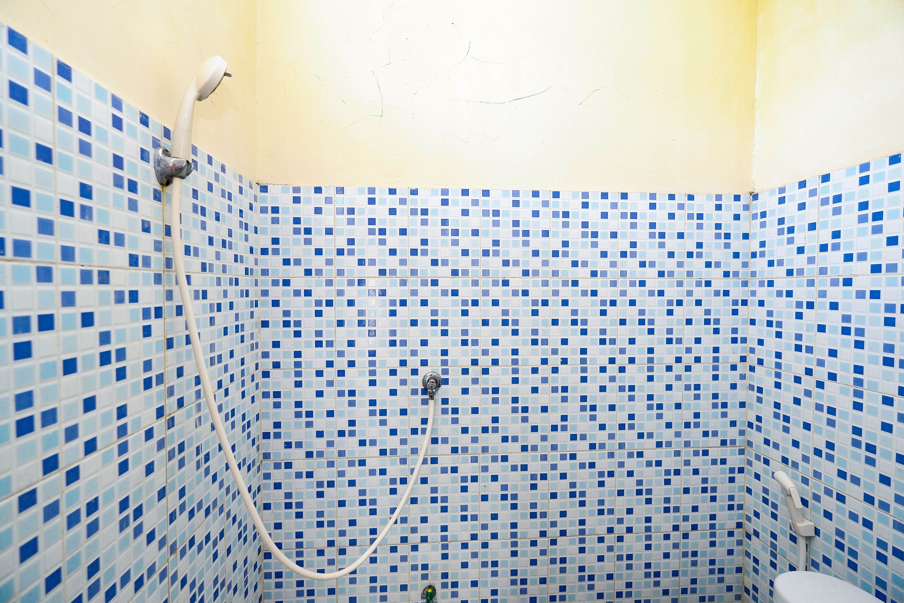Une salle de bain avec une zone de douche carrelée, un pommeau de douche apparent et un flexible de douche.