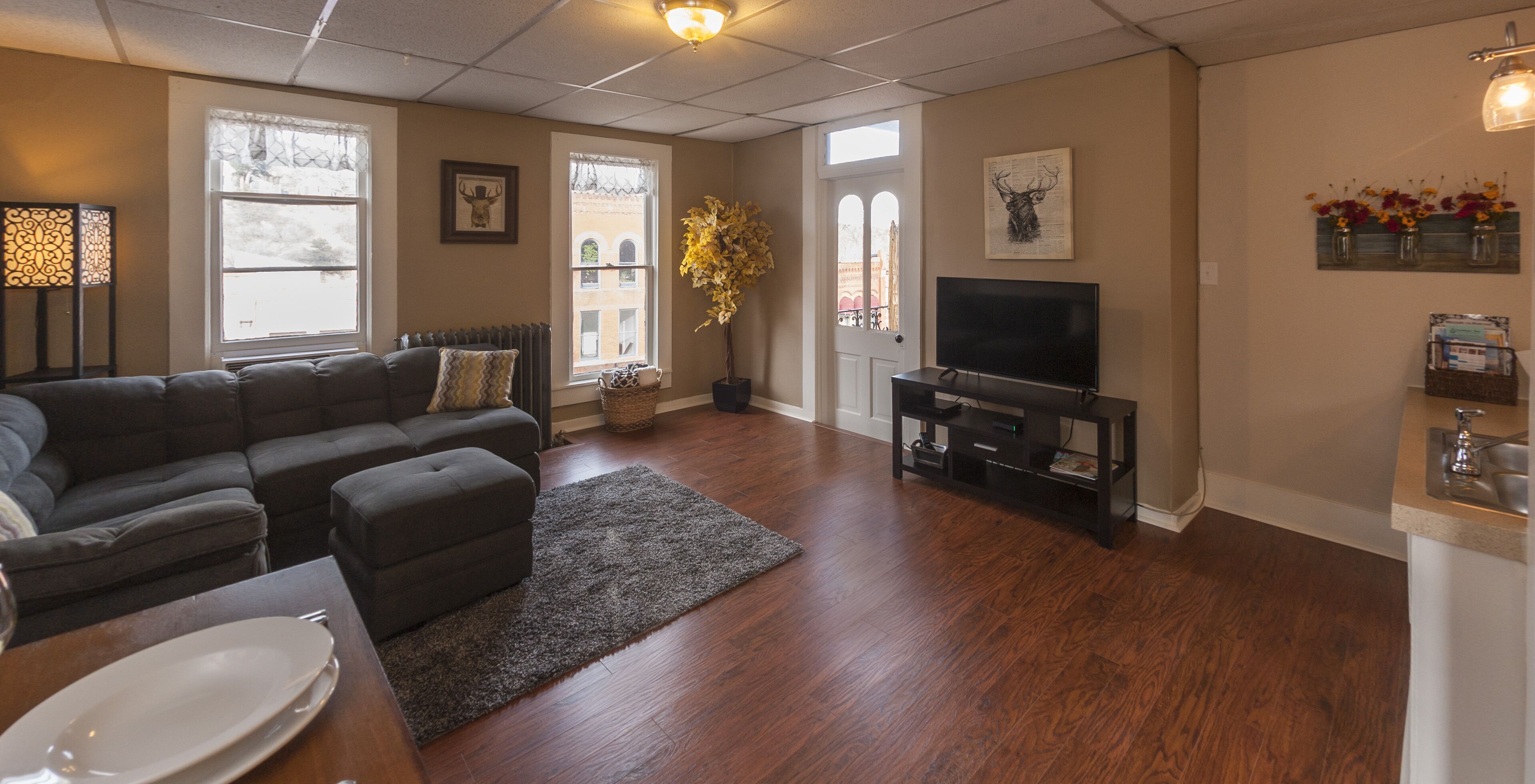 Télévision, lecteur de DVD, livres