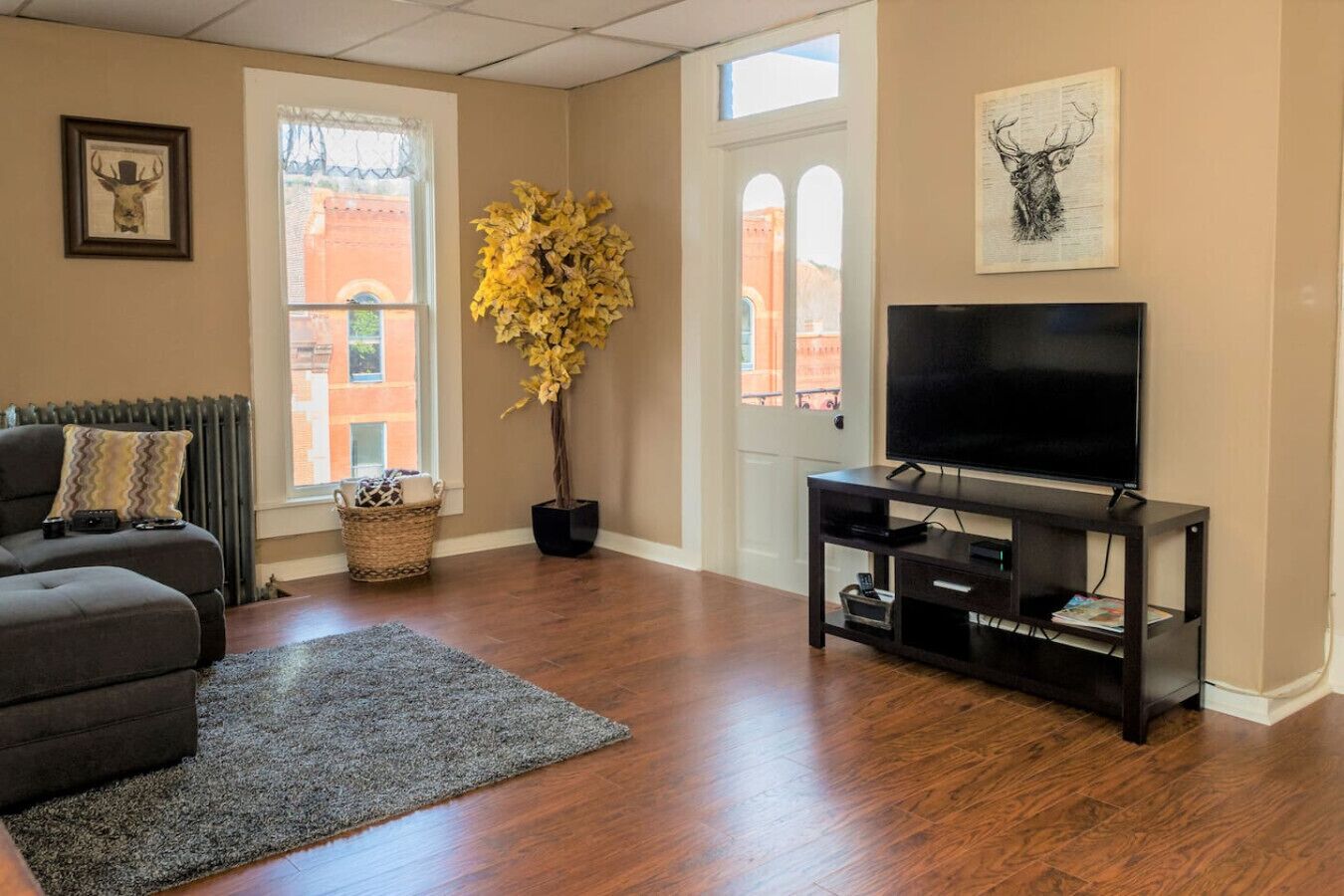 TV, DVD player, books