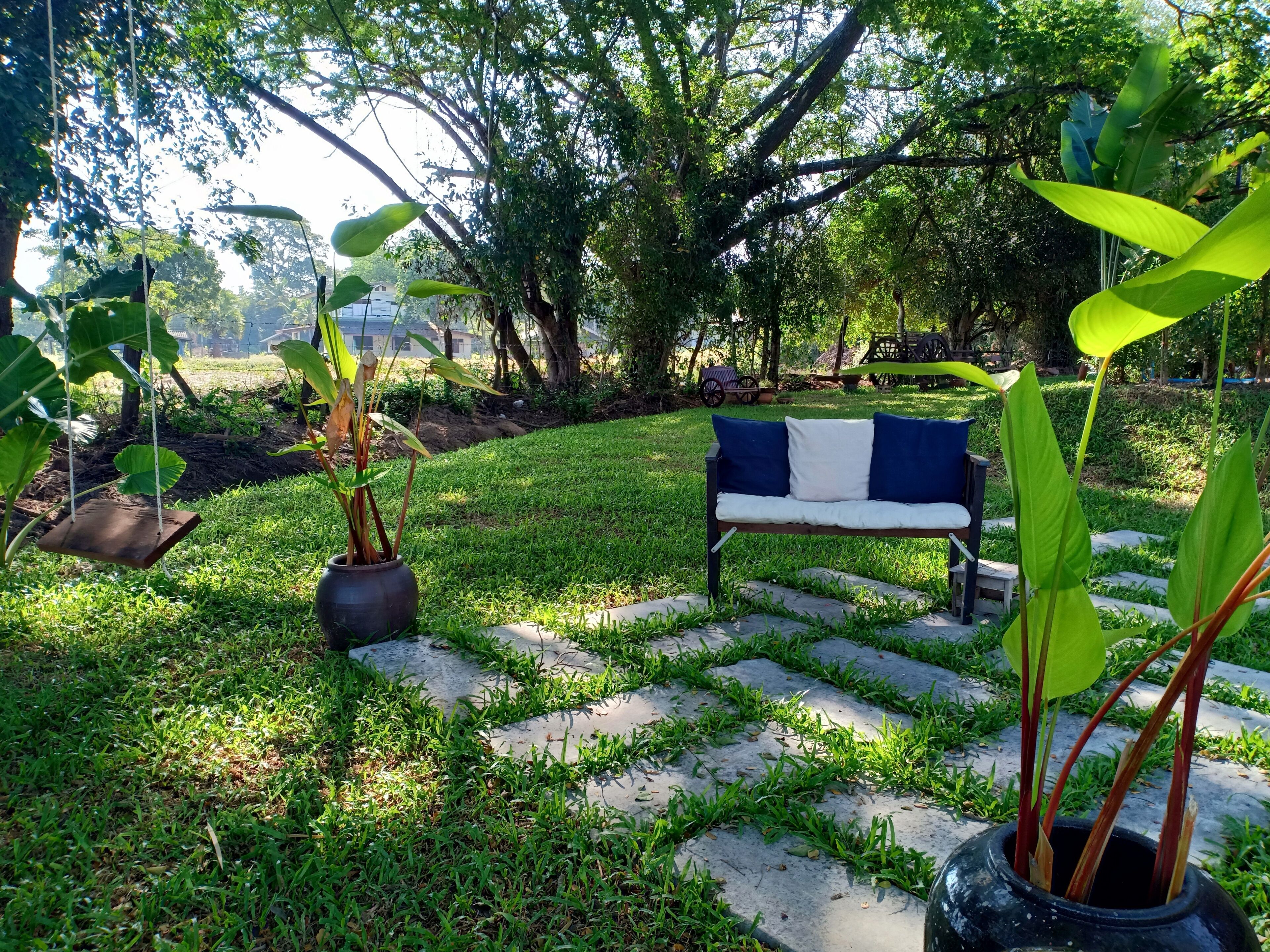 A garden area with a bench, potted plants, and a stone pathway.