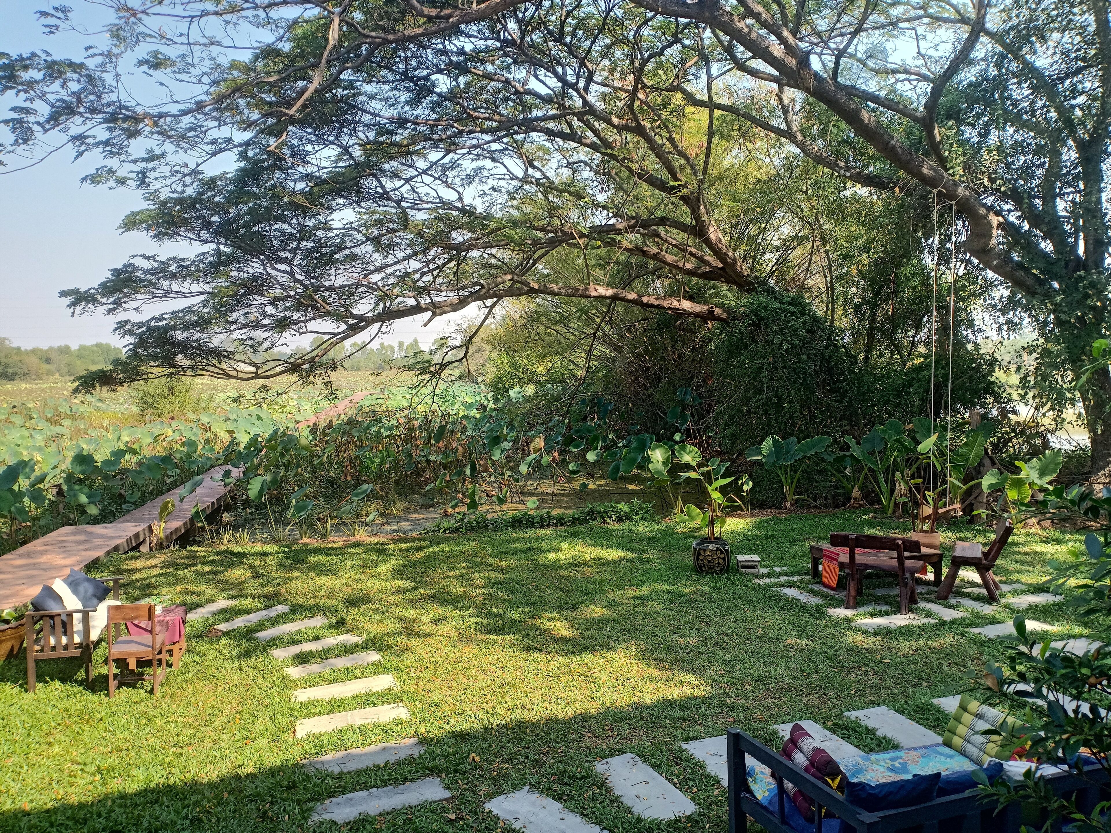 A garden with a wooden bench, a small table, and a swing.