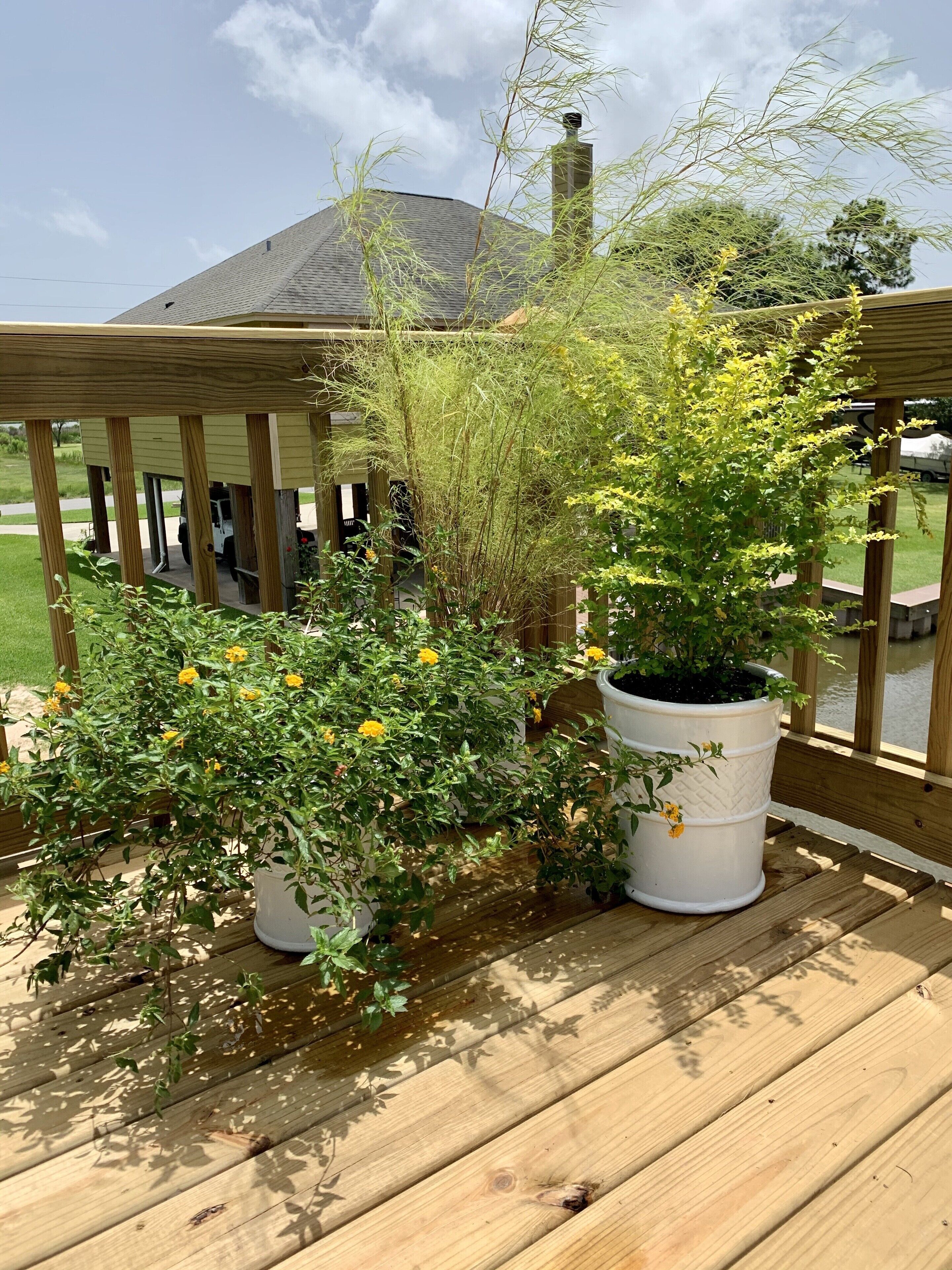 A wooden deck with potted plants and a vehicle in the background.