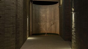 A narrow, dimly lit corridor with concrete walls and a single bare tree branch in the center. - Wandering Walls (Hengchun)