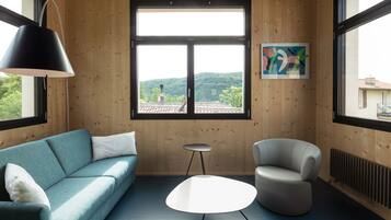 Télévision, cheminée, lecteur de DVD, livres