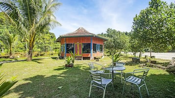Vườn
