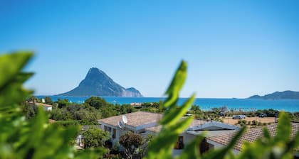 Casa Oleandro, gardened apartment, 100 meters walk to the beach, internet Wi-Fi