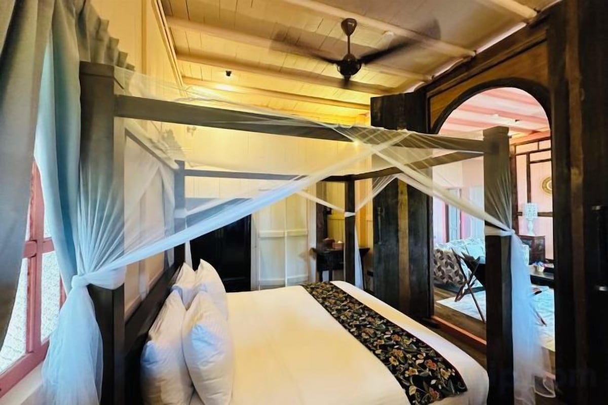 A room with a bed, a canopy, and a view through an arched window.