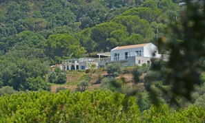 Una casa moderna con fachada blanca, techo plano y balcón. Está rodeada de abundante follaje y árboles.