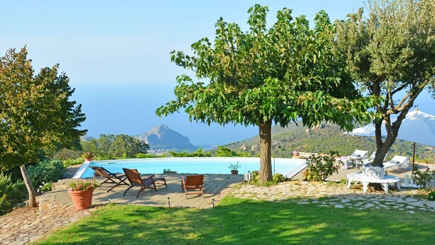 Un área junto a la piscina con sillones de descanso, un árbol y vista al océano.