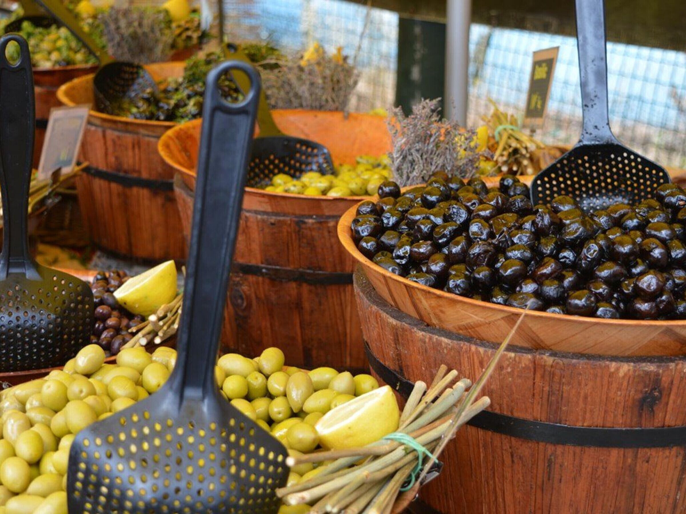 Des barils en bois remplis d’olives et de citrons, avec des cueilleurs d’olives au premier plan.