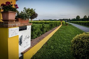 Property grounds - El Canfin (Montebello Vicentino)