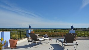 Une terrasse avec deux fauteuils de jardin, un pot de fleurs et une vue sur le paysage.