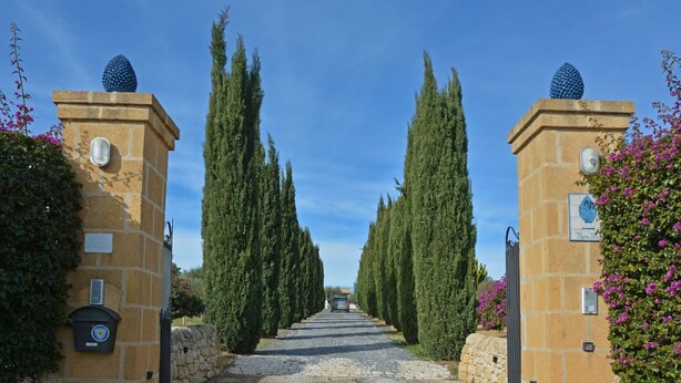 Un sentier bordé de cyprès majestueux mène à un bâtiment aux murs de pierre et à une porte bleue.