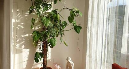 Ferienwohnung mit Garten