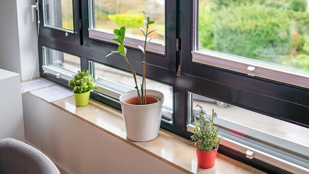 A room with a large window, a small table with potted plants, and a view of a green landscape. - Business Apartments Ost (Ratingen)