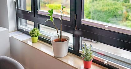 Business Apartments Ost