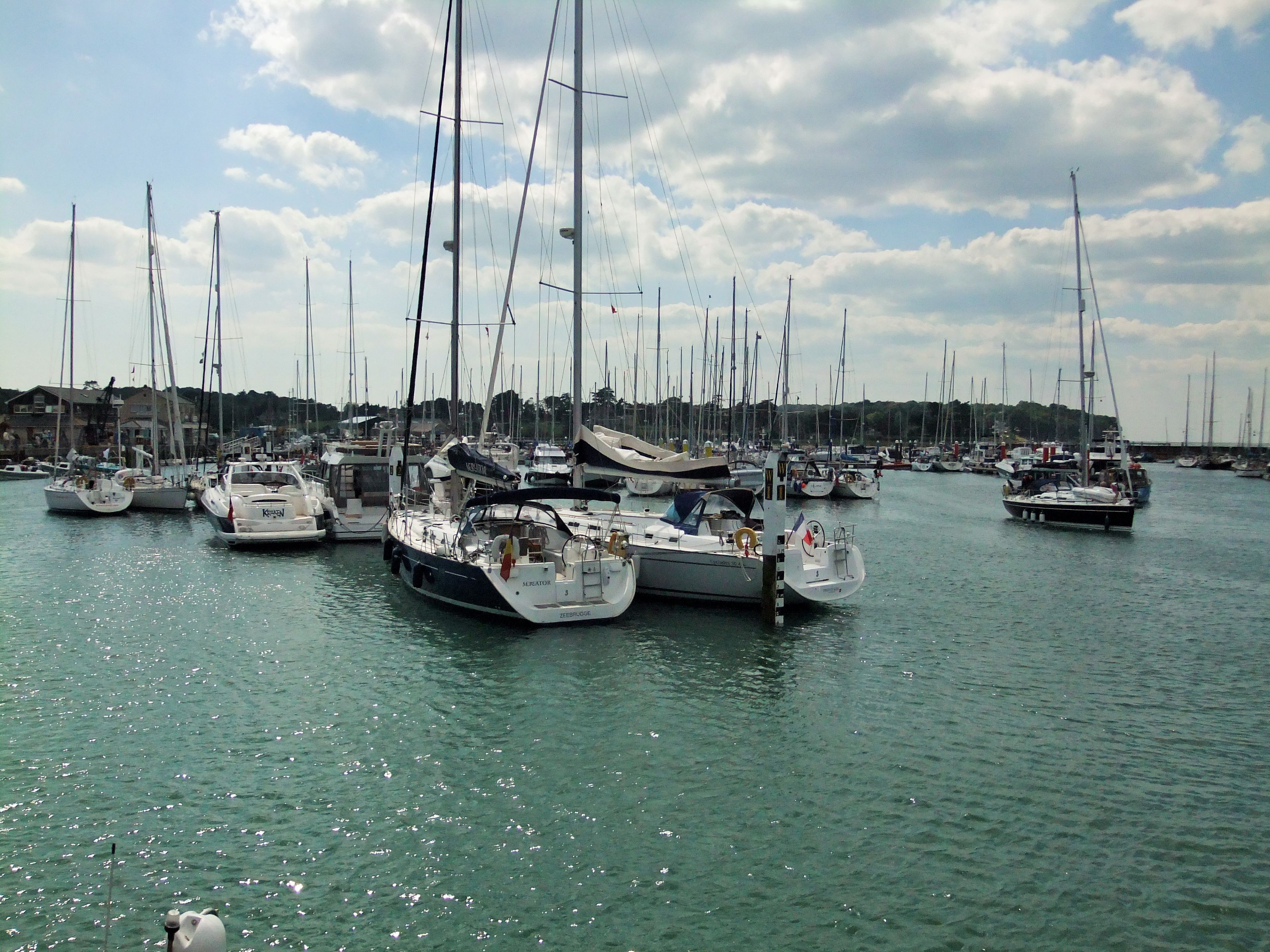 A marina with multiple sailboats docked.