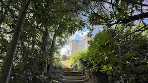 A stone staircase surrounded by dense foliage leading to a building with a blue roof.