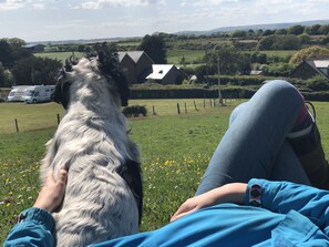 Cottage - Queen Bower Farm Lodge (Sandown)