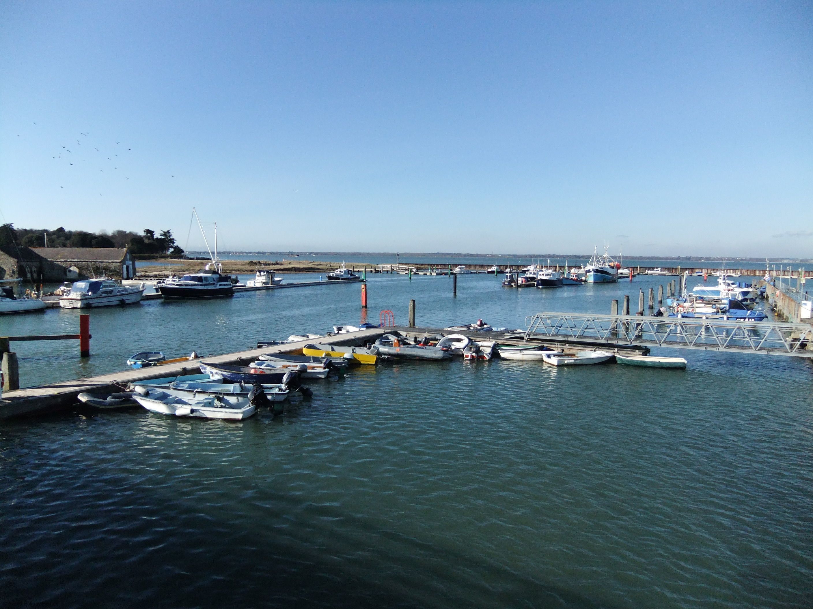 코티지 | 마리나