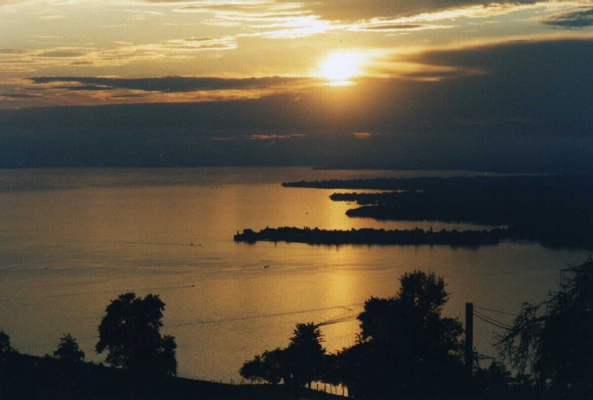 A sunset over a calm body of water with distant landmasses and silhouettes of trees.