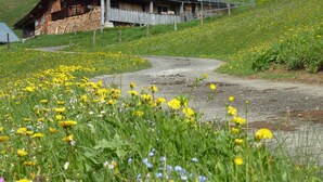 A rural setting with a wooden house, a dirt road, and a field of yellow flowers. - Cozy, homely apartment (Lindau-Bodolz)