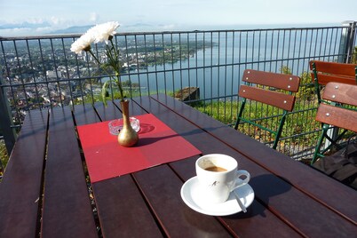 Cozy, homely apartment