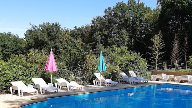 Una piscina con lettini e ombrelloni, immersa nel verde.