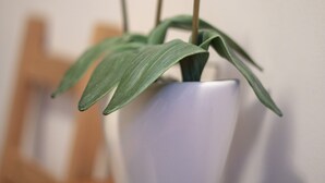 星評価なしの画像、3 / 7、ボタン