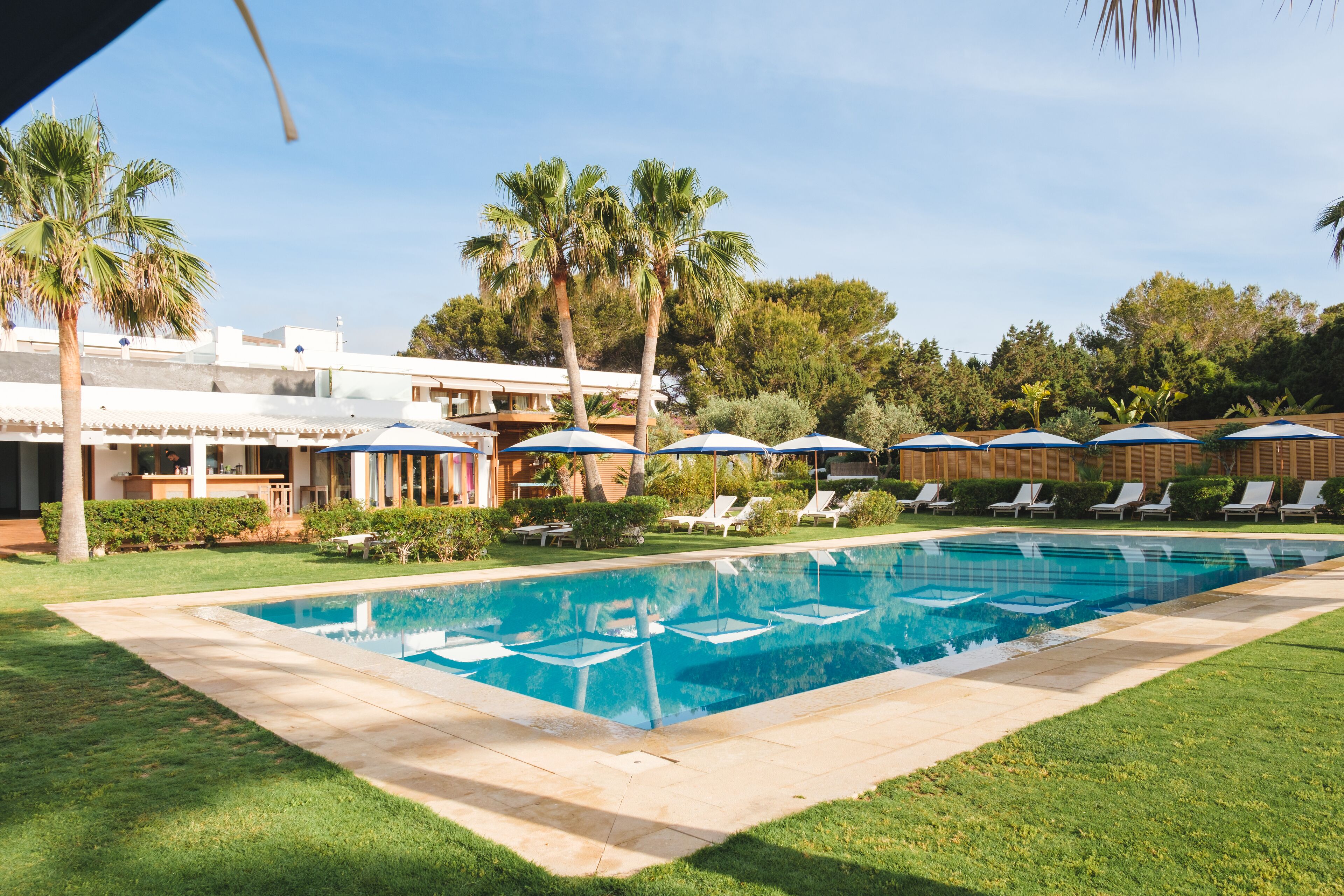 Ein Swimmingpool mit Liegestühlen und Sonnenschirmen, umgeben von Palmen und einem Gebäude mit weißer Fassade.