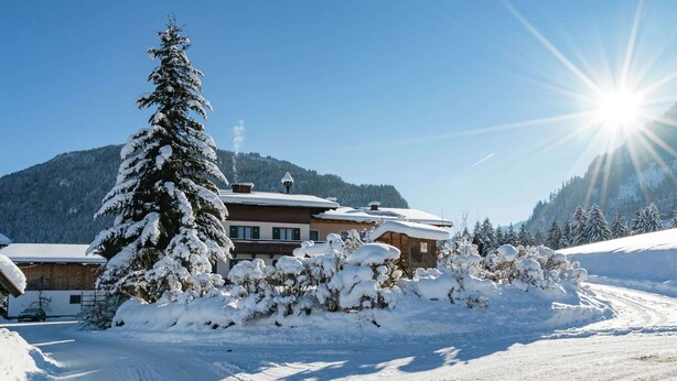 A snow-covered landscape with a wooden house, a snow-covered tree, and a clear sky.