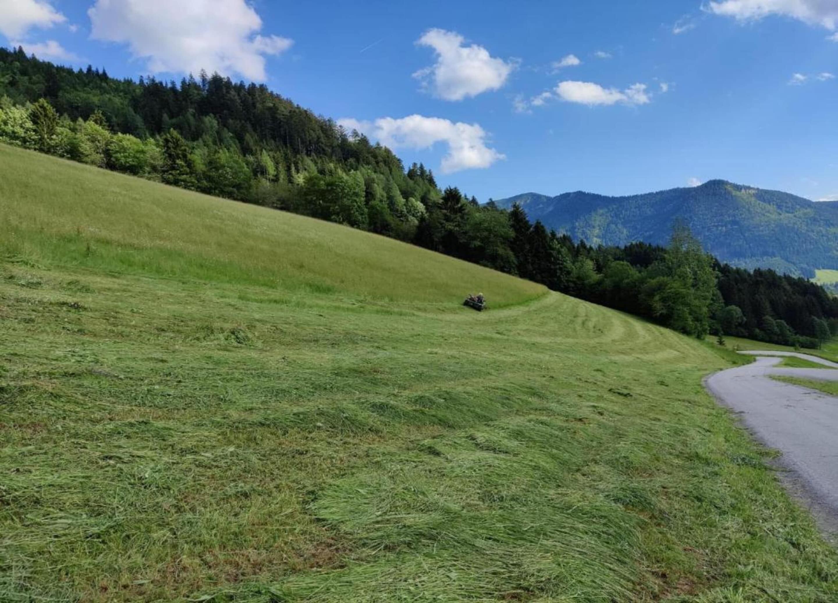 A grassy field with a winding road and a vehicle.
