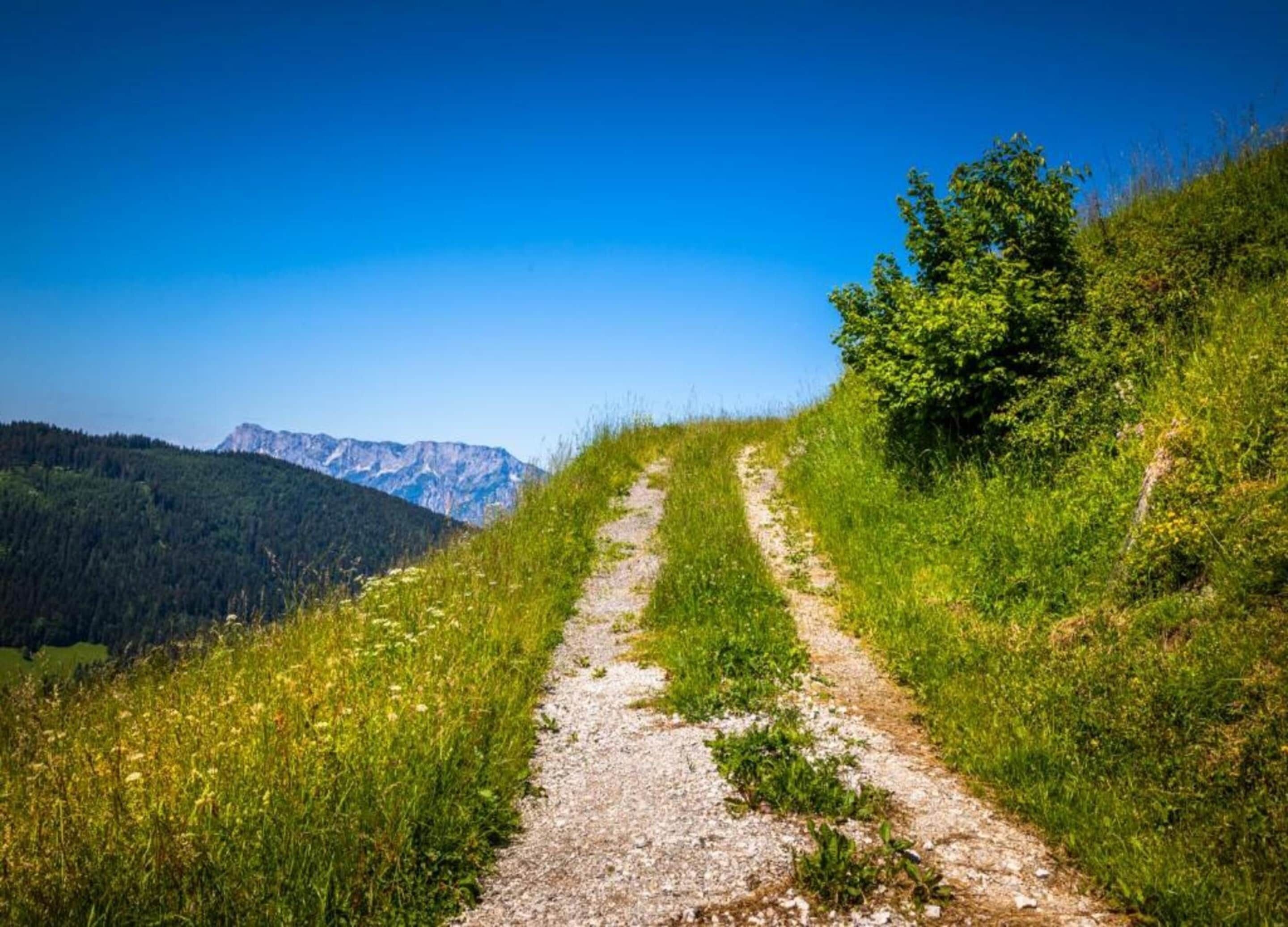 A gravel path leading through a grassy hillside with a mountain in the background.