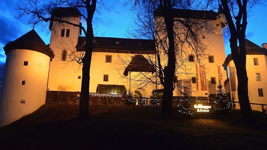 Spacious Holiday Home in Goldegg near Ski Area