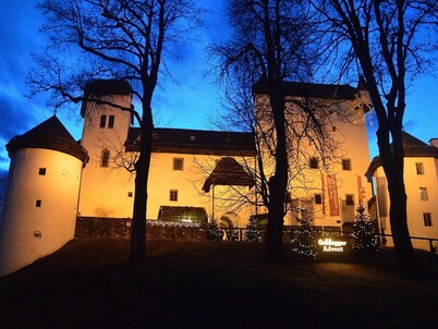 Spacious Holiday Home in Goldegg near Ski Area