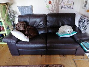 Interior - Apartment Walchen Near Ski Slopes (Piesendorf)