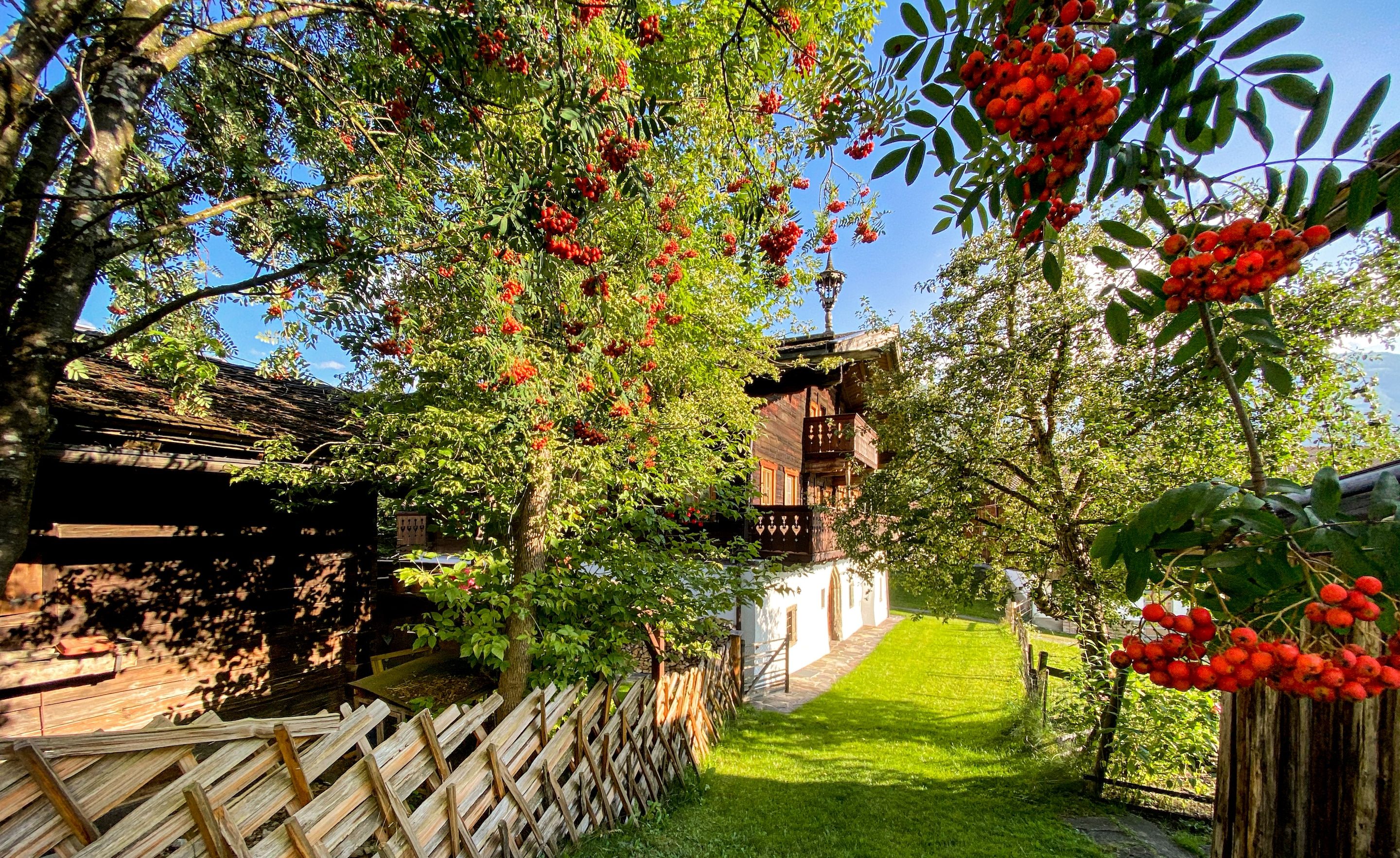 Ein Garten mit Holzzaun, einer Holzhütte und blauem Himmel.