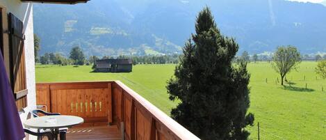 Vista desde la propiedad