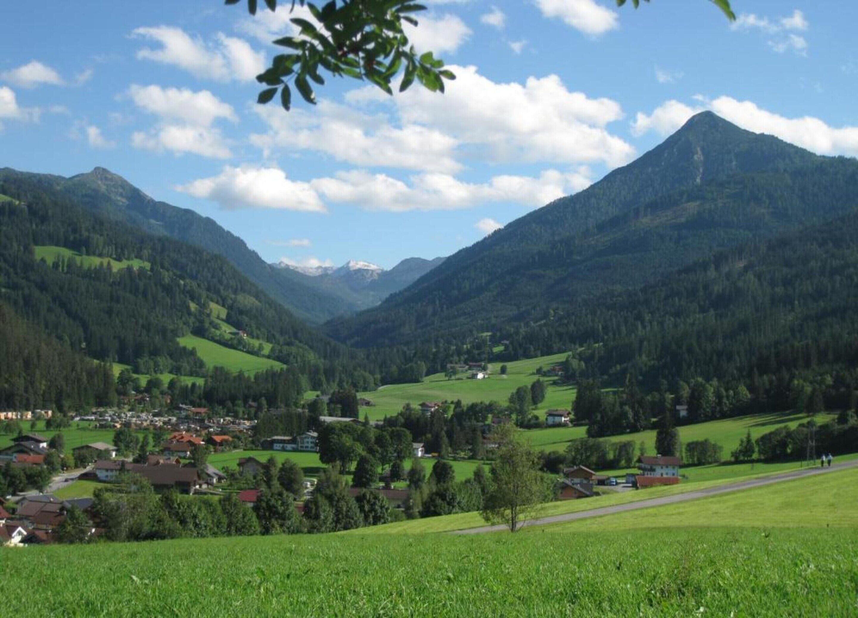 A valley with houses and a mountain in the background.