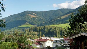 A rural village with houses surrounded by lush green hills and a clear sky. - Animal -friendly Apartment in Leogang (Leogang)