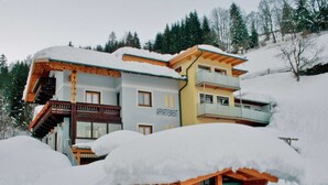 Exterior - Stylish Apartment in Zell am See near Ski Area (Zell am See)