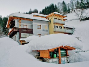 Exterior - Stylish Apartment in Zell am See near Ski Area (Zell am See)