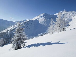 Exterior - Modern Holiday Home in Fugen Near Ski Area (Fuegen)