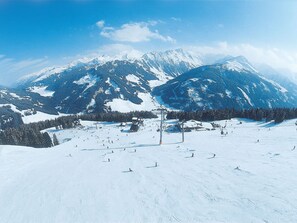 Exterior - Modern Apartment in Uderns Near Ski Area (Uderns)