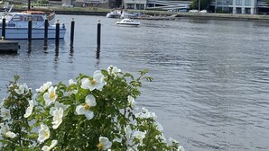 Une vue sur le front de mer, avec des bateaux amarrés, une silhouette urbaine en arrière-plan et une fleur au premier plan.