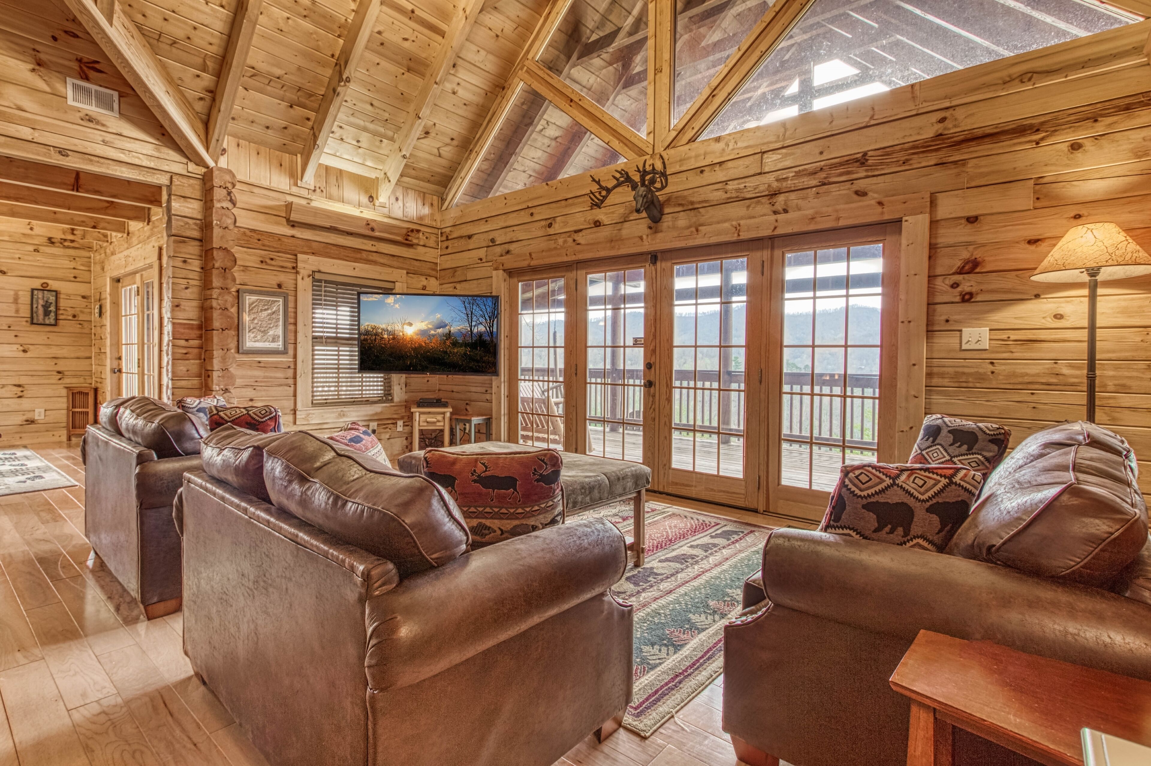 TV, fireplace, video games, DVD player