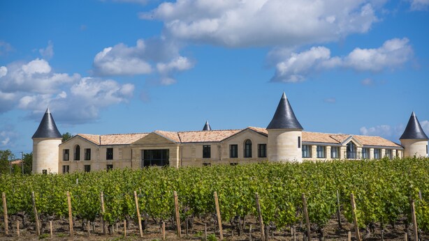 A vineyard with rows of grapevines in front of a building with a tiled roof and three conical towers. - Château Tour Saint-Fort (Saint-Estephe)